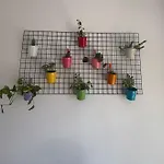 Anita Apartmán